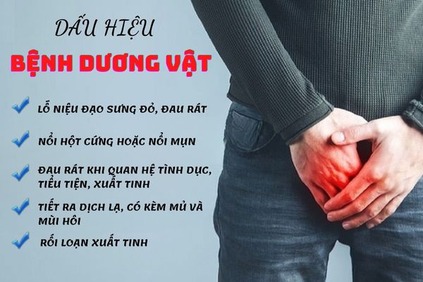 Dấu hiệu nhận biết bệnh dương vật ở nam giới