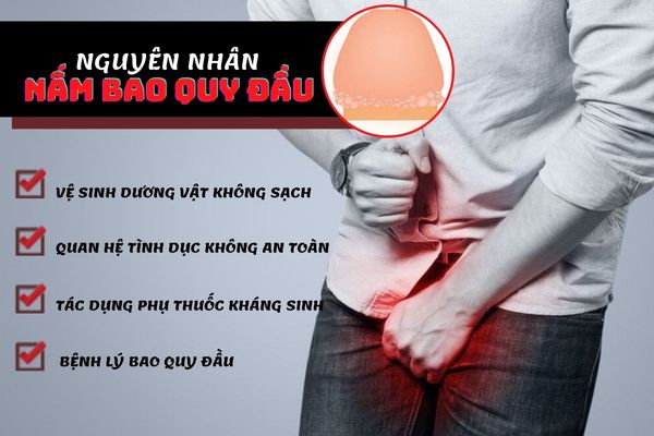 Nấm bao quy đầu do nhiều nguyên nhân khác nhau gây nên