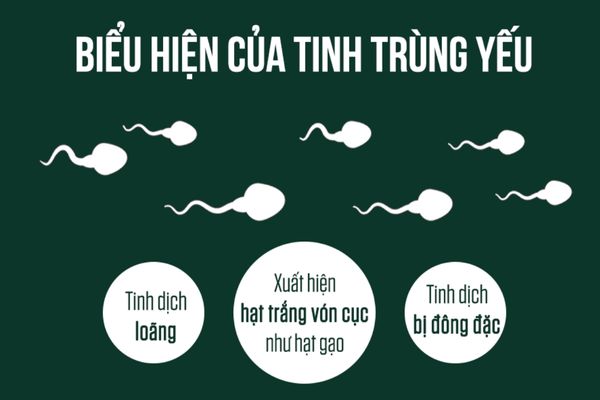 Dấu hiệu nhận biết tinh trùng yếu