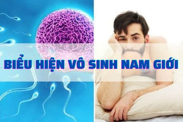 Tìm hiểu các biểu hiện vô sinh ở nam giới