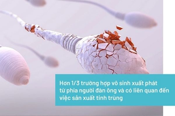 Vô sinh nam giới là bệnh lý đang ngày một phổ biến hiện nay