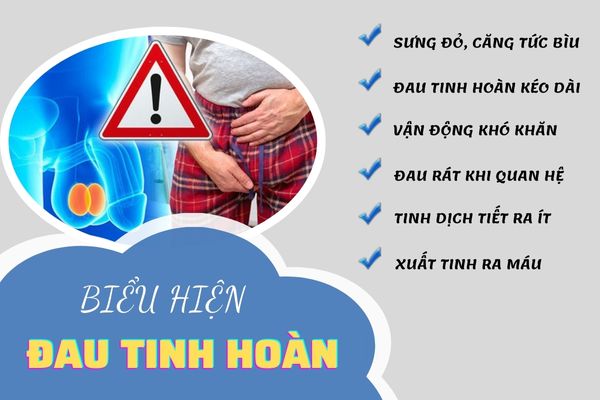 Đau tinh hoàn được biểu hiện qua nhiều triệu chứng khác nhau