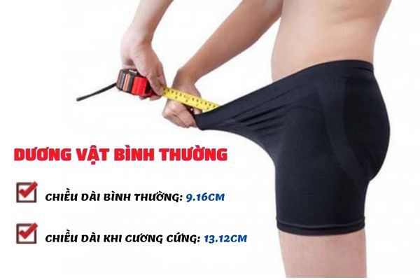 Tiêu chuẩn của dương vật bình thường