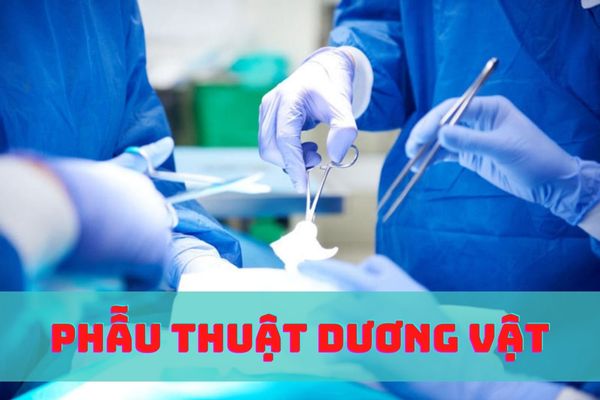 Khi nào cần phẫu thuật dương vật? Cách thực hiện hiệu quả