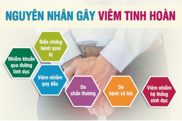 Các nguyên nhân mắc bệnh viêm tinh hoàn phổ biến