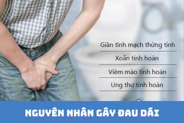 Đau dái là dấu hiệu cảnh báo cho nhiều bệnh lý nguy hiểm