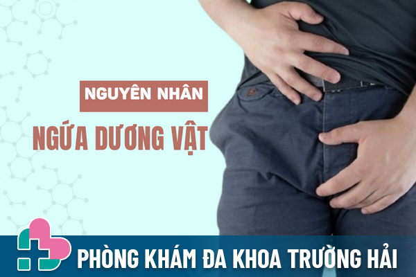 Đâu là nguyên nhân ngứa dương vật?