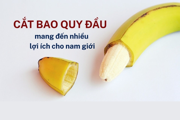 Cat-bao-quy-dau-la-gi