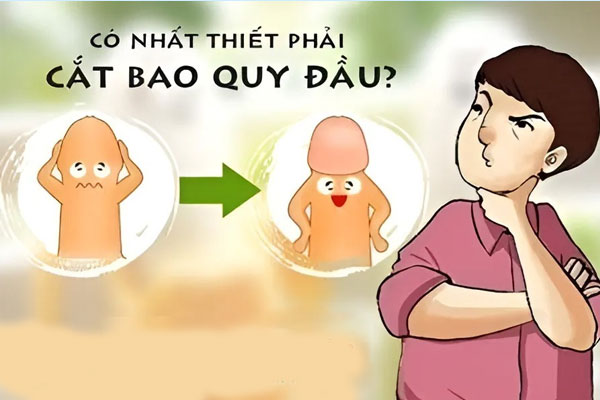 Co-can-cat-bao-quy-dau