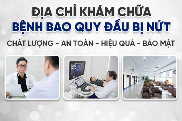 Dia-chi-dieu-tri-bao-quy-dau-bi-nut